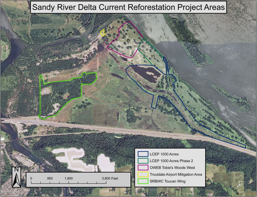 Sandy River Delta Current Reforestation Project Areas