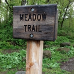 Meadow Trail sign