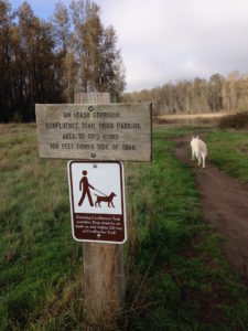 trail sign